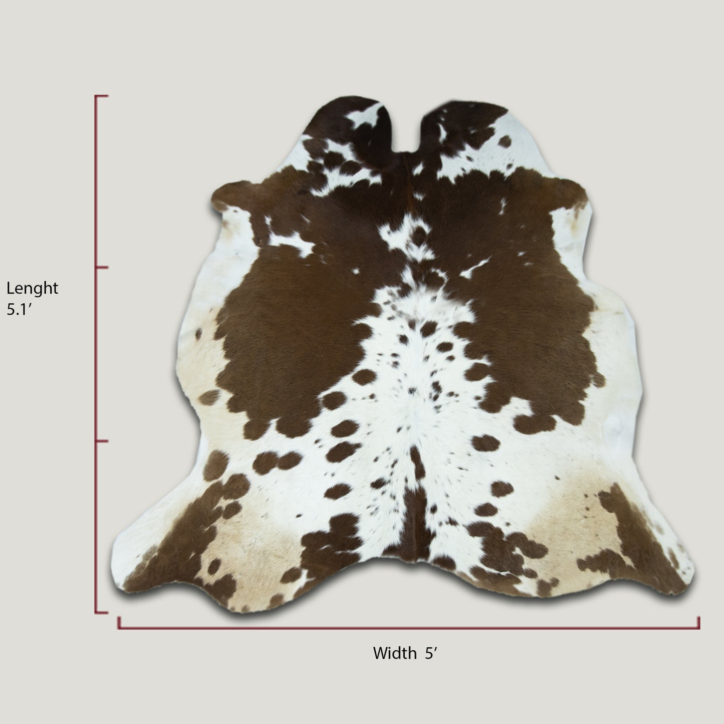 Chocolate and White Cowhide Rug #A026 by Hide Hoof