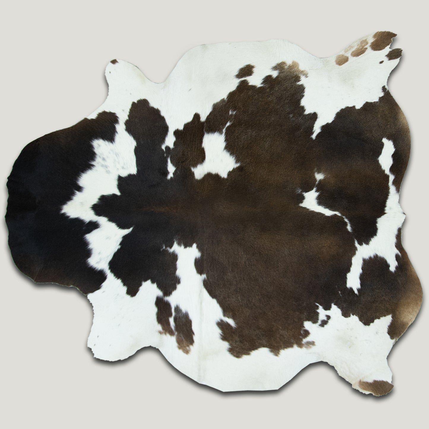 Chocolate and White Cowhide Rug #A028 by Hide Hoof