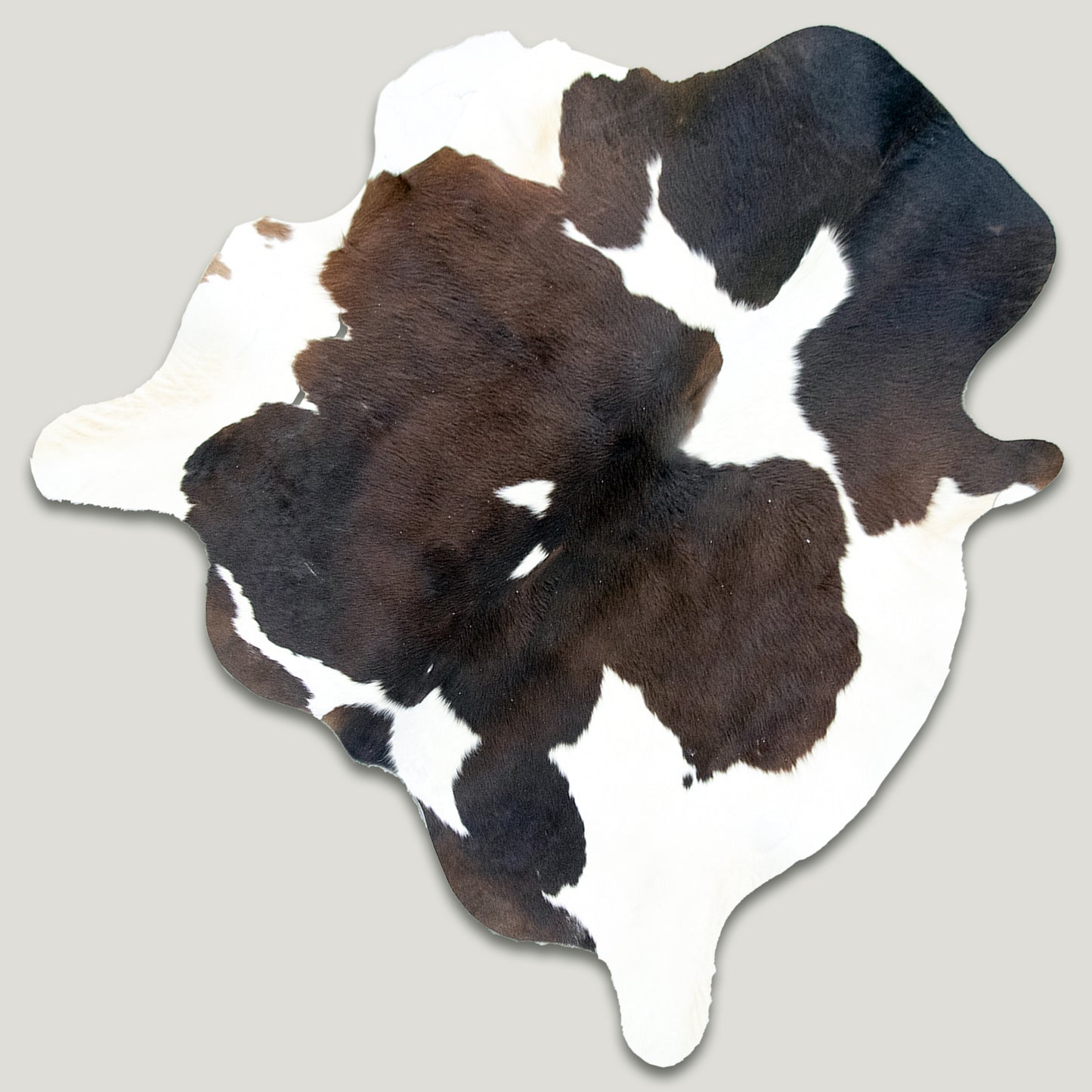 Chocolate and White Cowhide Rug #A018 by Hide Hoof