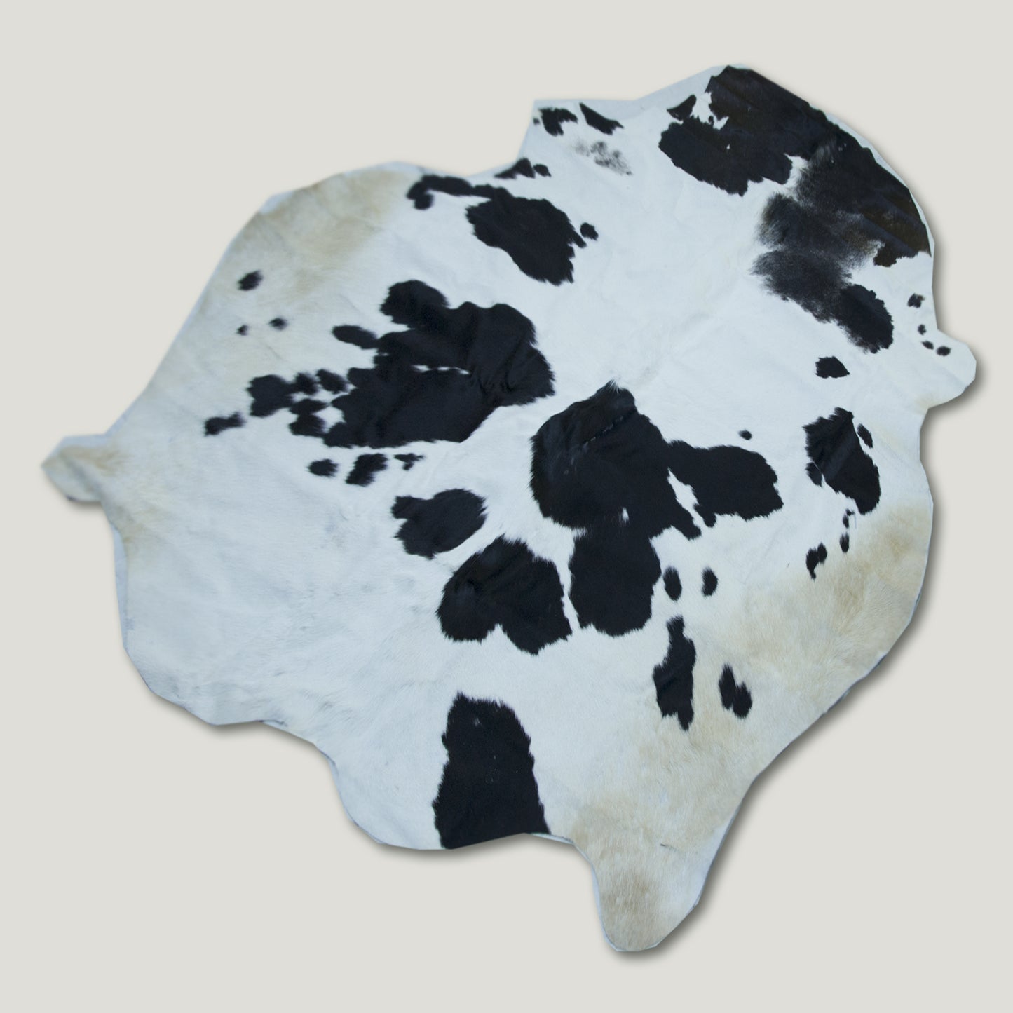 Oval Black & White Cowhide Rug #A006 by Hide Hoof